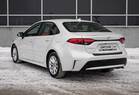 Toyota Corolla rental